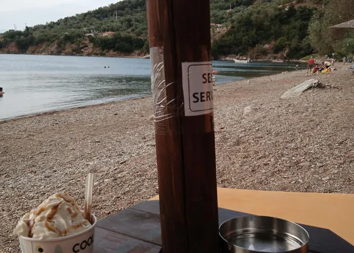 Marathias Miss Asimenia *