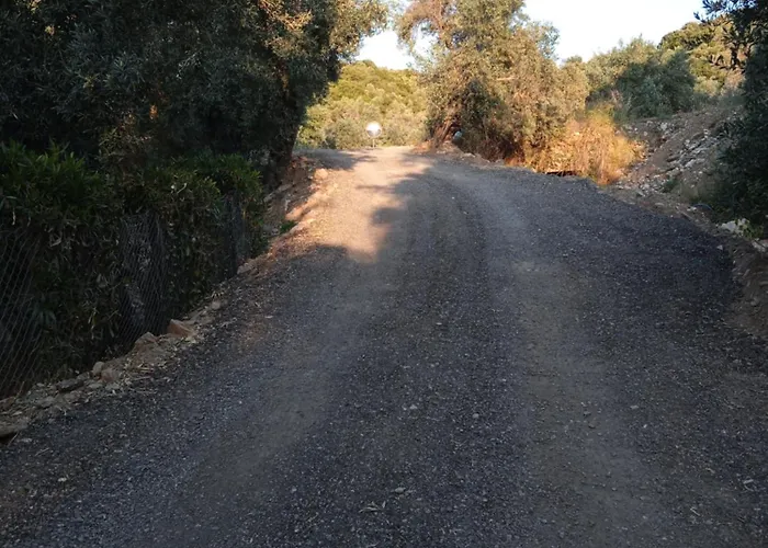 Marathias Miss Asimenia * Milina