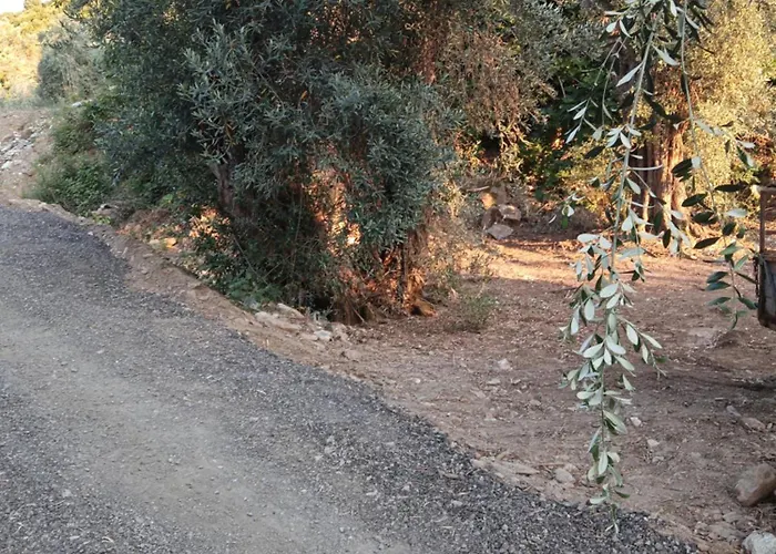 Campsite Marathias Miss Asimenia *