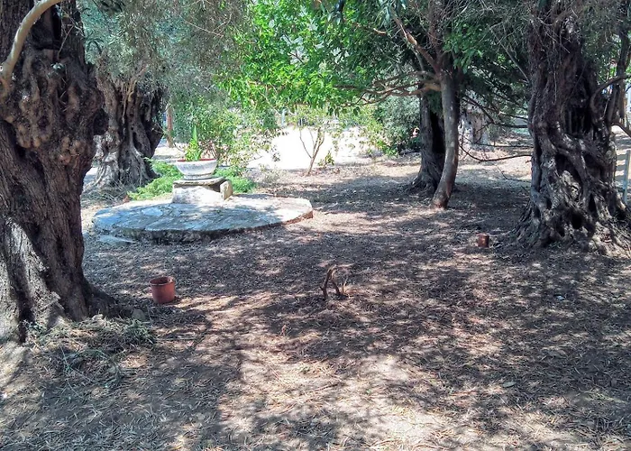 Campsite Marathias Miss Asimenia