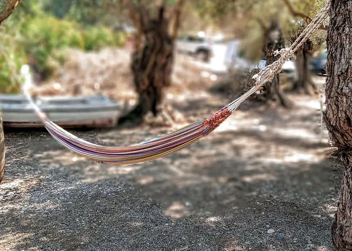 Marathias Miss Asimenia Milina