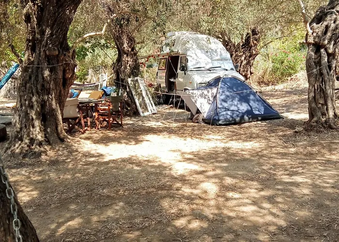 Marathias Miss Asimenia *