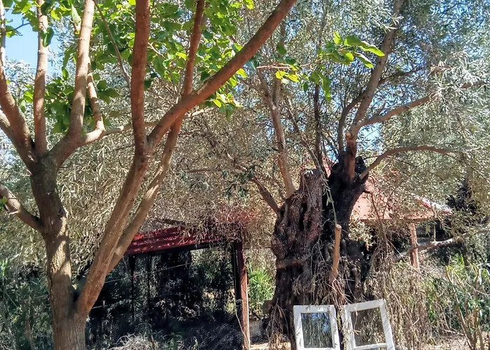 Marathias Miss Asimenia Campsite Milina