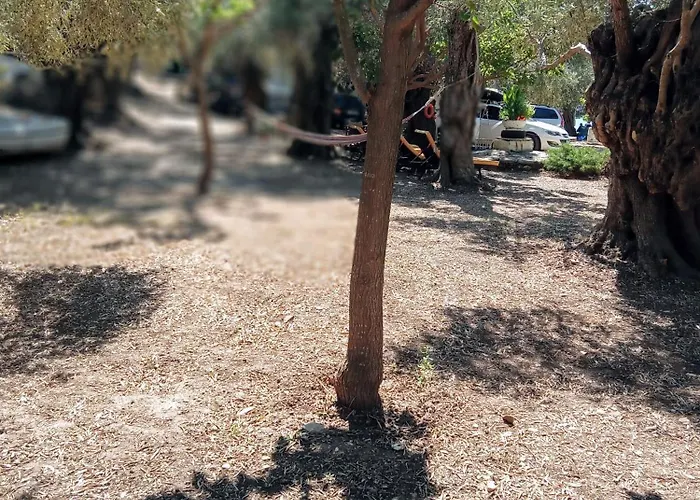 Campsite Marathias Miss Asimenia *