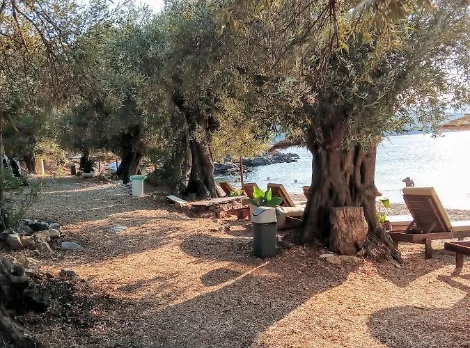 Campsite Marathias Miss Asimenia *