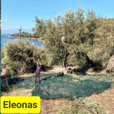 Marathias Miss Asimenia One Empty Pitch For Your Rv μια θεση Cambing Rv *