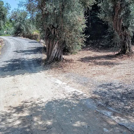 Marathias Miss Asimenia One Empty Pitch For Your Rv μια θεση Cambing Rv * 밀리나