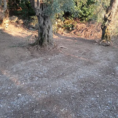 캠프장 Marathias Miss Asimenia One Empty Pitch For Your Rv μια θεση Cambing Rv