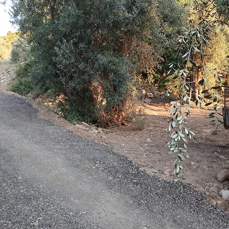 캠프장 Marathias Miss Asimenia One Empty Pitch For Your Rv μια θεση Cambing Rv *