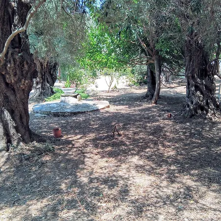 캠프장 Marathias Miss Asimenia One Empty Pitch For Your Rv μια θεση Cambing Rv