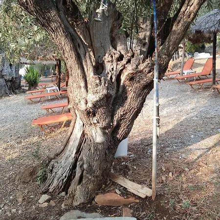 Marathias Miss Asimenia One Empty Pitch For Your Rv μια θεση Cambing Rv 밀리나