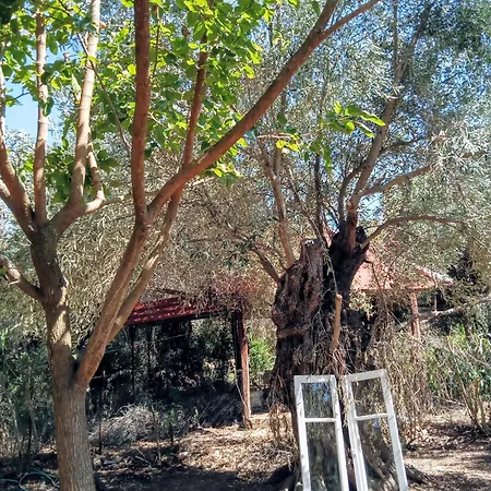 Marathias Miss Asimenia Кемпинг Милина