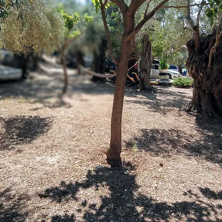 Кемпинг Marathias Miss Asimenia *