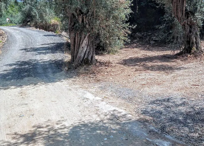 Marathias Miss Asimenia * Milína