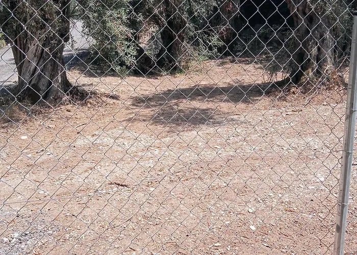 Kemp Marathias Miss Asimenia