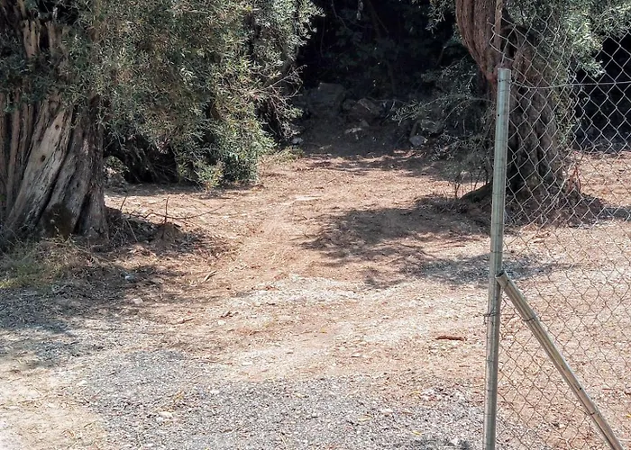 Kemp Marathias Miss Asimenia