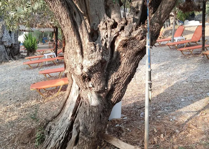 Marathias Miss Asimenia Milína