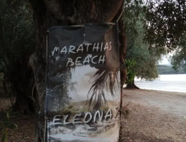 Kemp Marathias Miss Asimenia