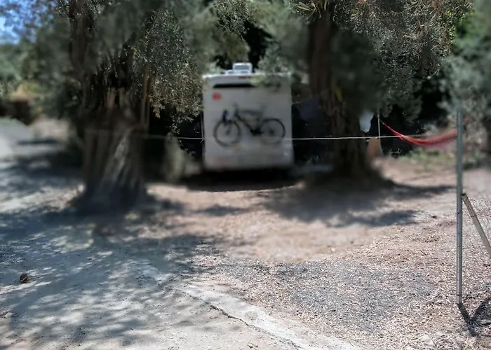 Marathias Miss Asimenia