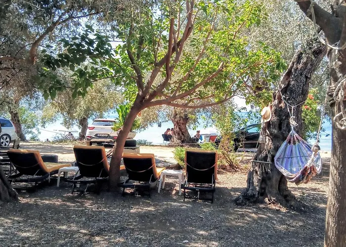 Marathias Miss Asimenia * Milína