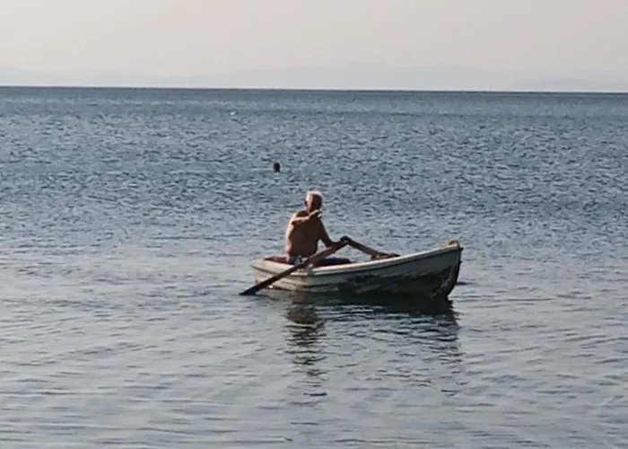 Marathias Miss Asimenia Kemp